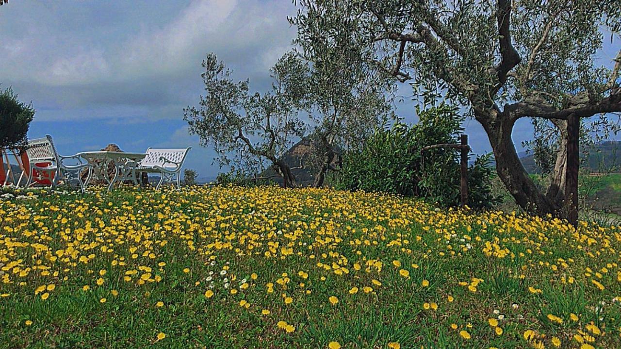Agriturismo Villa Felice Volterra Ngoại thất bức ảnh
