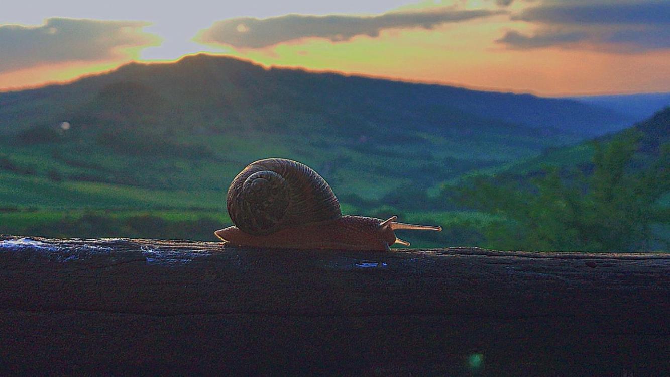 Agriturismo Villa Felice Volterra Ngoại thất bức ảnh